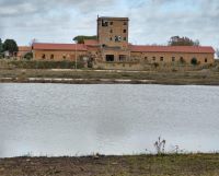 Saline di Tarquinia (foto di Emanuele Lucchetti)